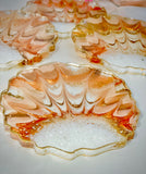 Sea Shells Coasters